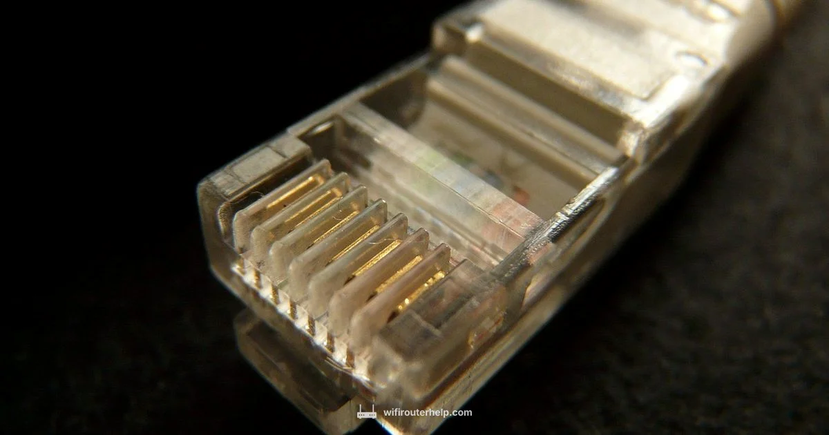 Router Ethernet Cable - WiFi Router Help