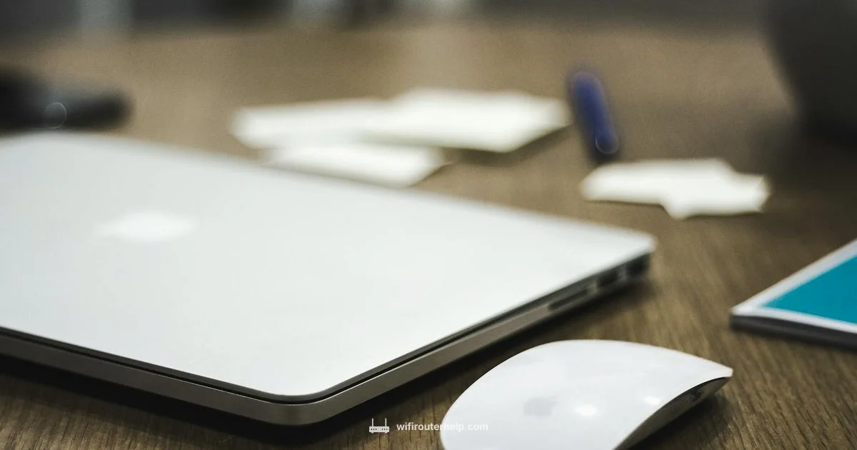 Router Not Online - WiFi Router Help