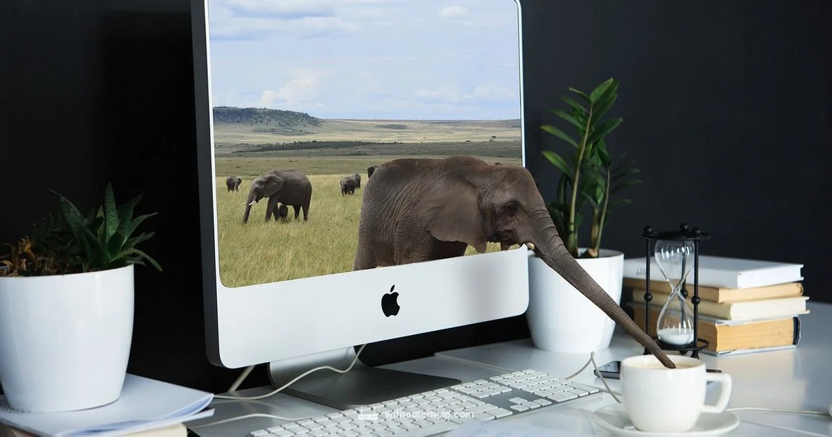 EIGRP Essentials - WiFi Router Help