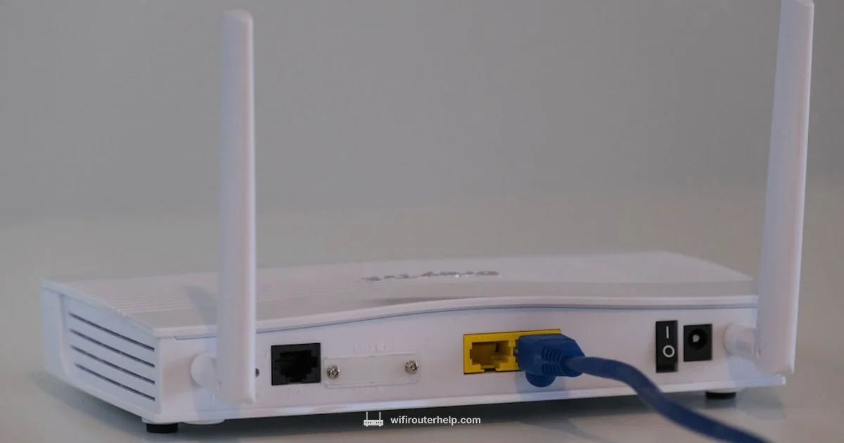 Router Reset Guide - WiFi Router Help