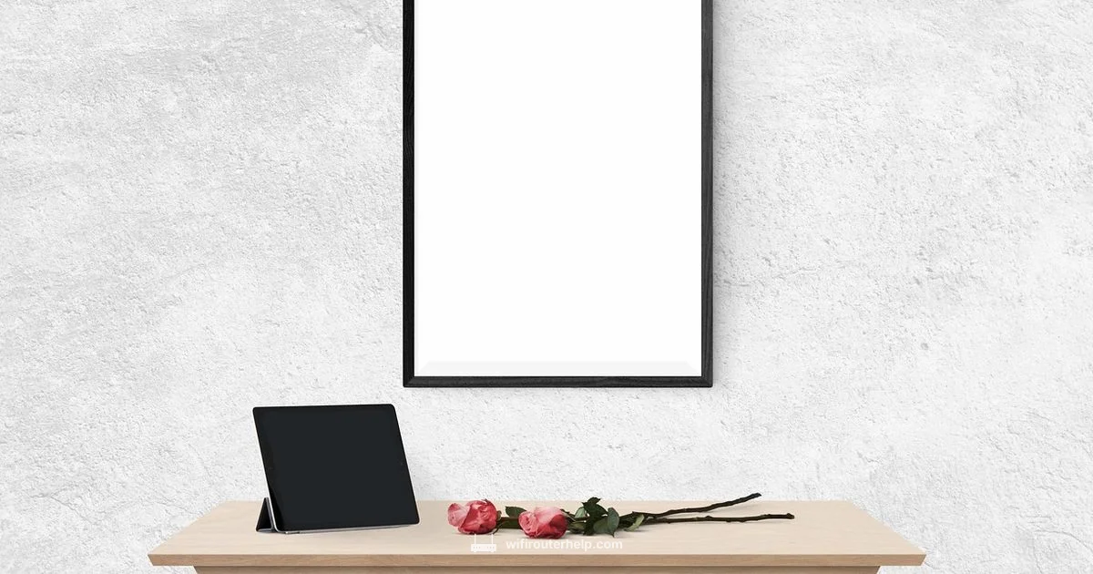 Router Basics - WiFi Router Help