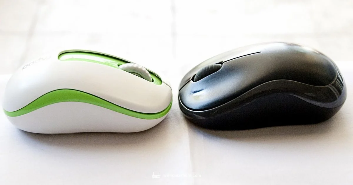 Router Look Guide Router Look Guide - WiFi Router Help