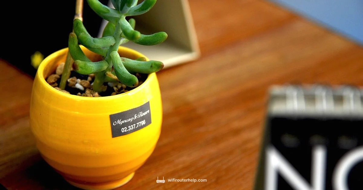 Tiny Router, Big Performance - WiFi Router Help