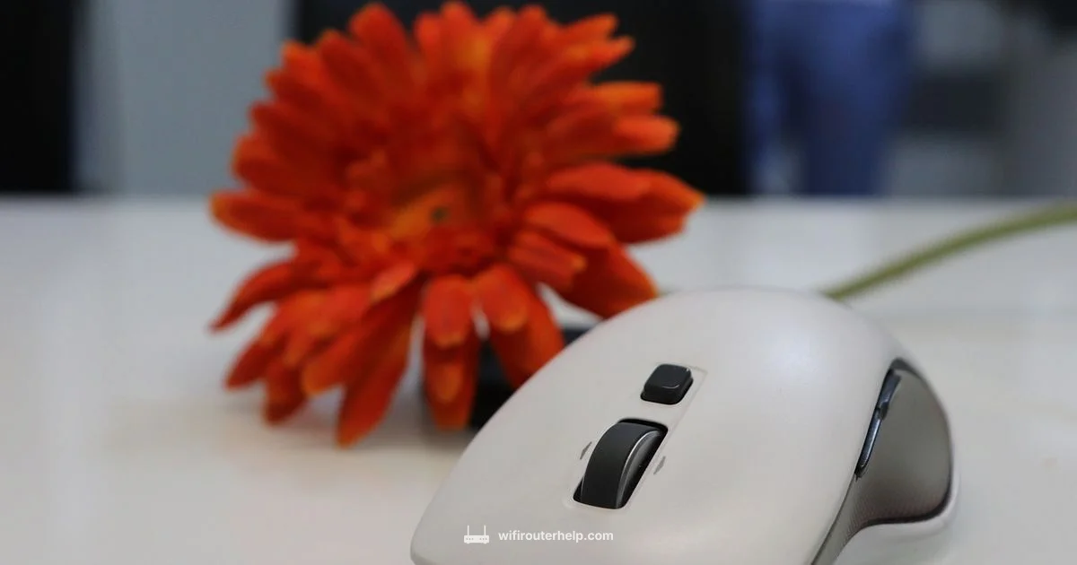 Smart Home Network - WiFi Router Help