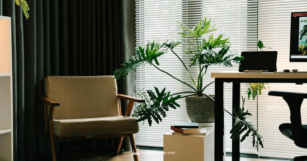 5G LTE Router Guide - WiFi Router Help