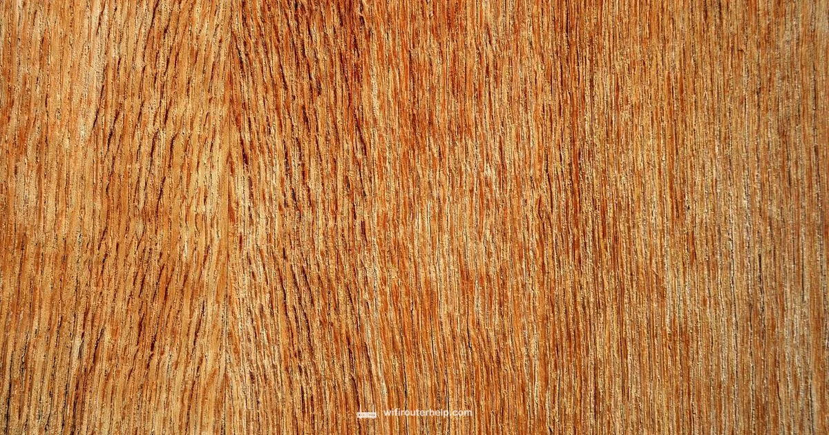 Plywood Router Bits - WiFi Router Help