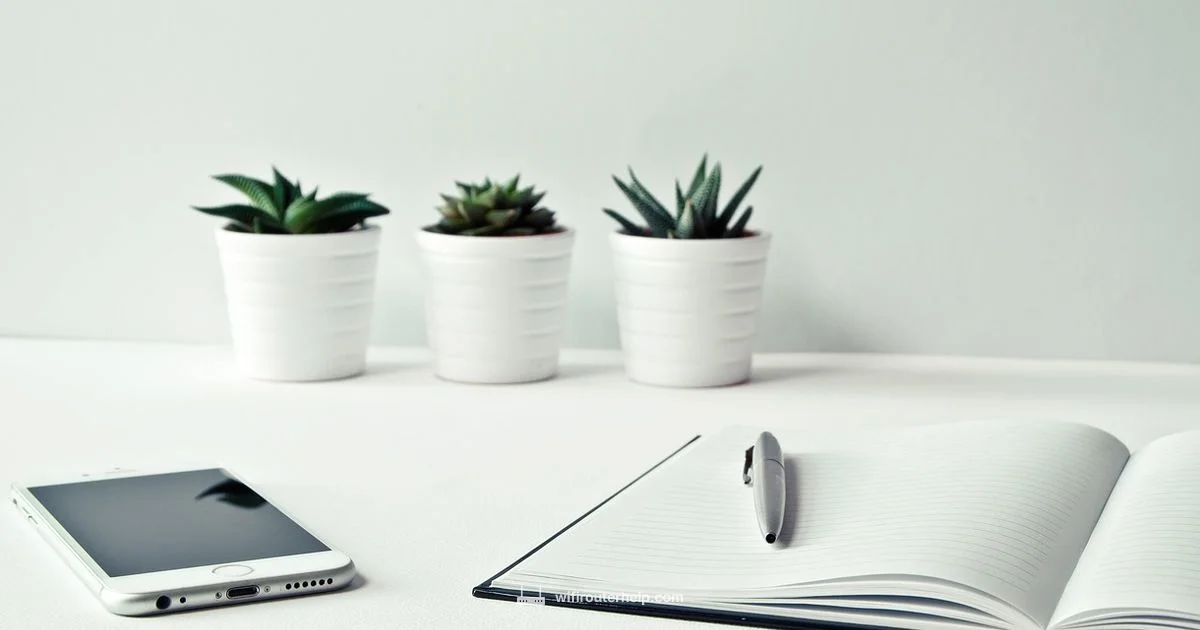 Zyxel Router Essentials - WiFi Router Help