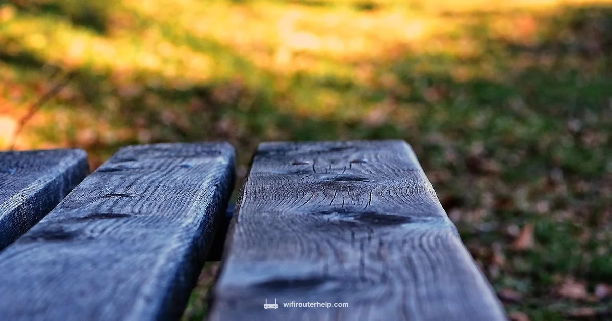 1/4 Router Bits Guide - WiFi Router Help