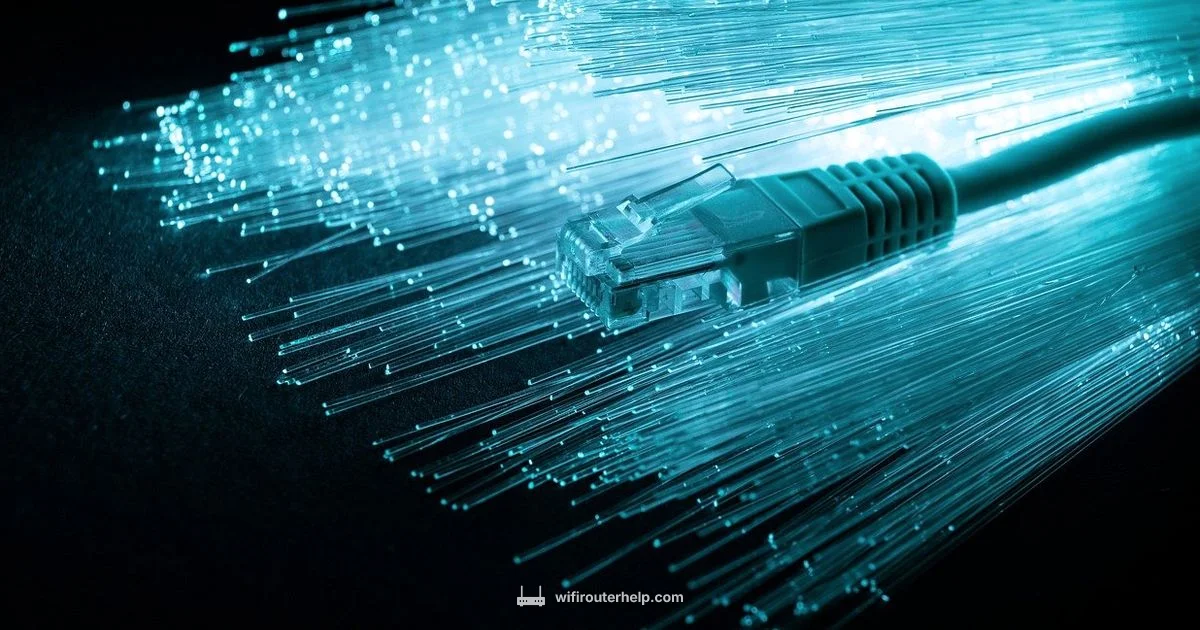 MDF Networking Guide MDF Networking Guide - WiFi Router Help