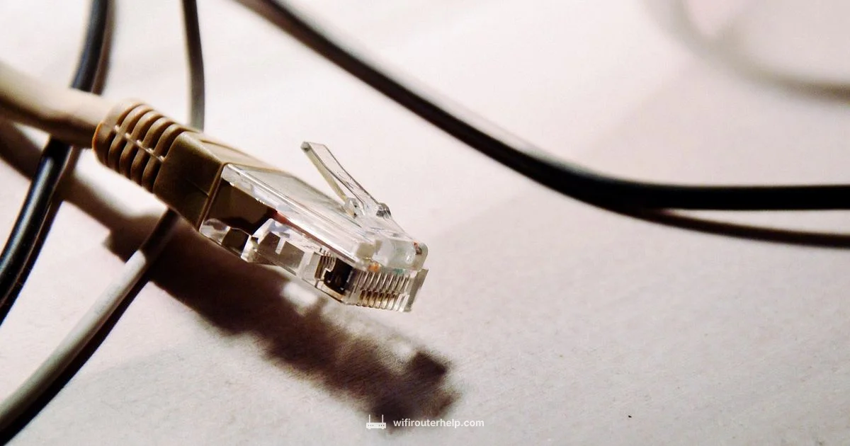 Router to Switch Connection - WiFi Router Help