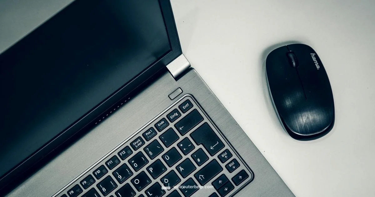 Router Virus Cleanup - WiFi Router Help